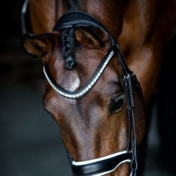 SD Valverde Browband.