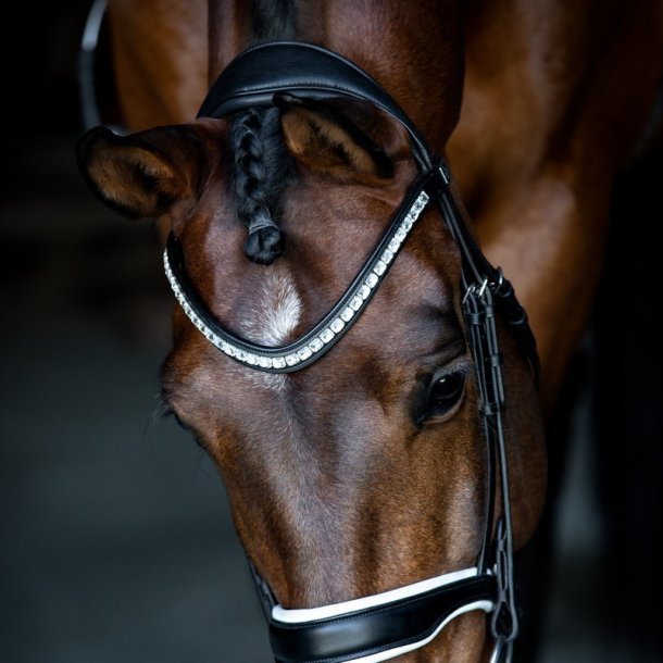 SD Valverde Browband.