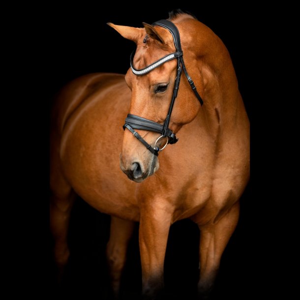 SD� Hollywood Glamorous noseband. Black/Midnight Sparkle.