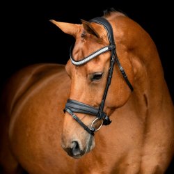 SD� Hollywood Glamorous noseband. Black/Midnight Sparkle.
