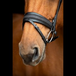 SD� Hollywood Glamorous noseband. Black/Midnight Sparkle.
