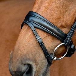 SD Noseband. black/black. 