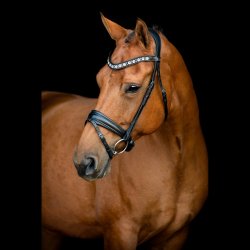 SD Noseband. black/black. 