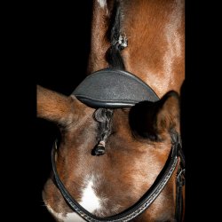 SD Hollywood Glamorous neckstrap. 