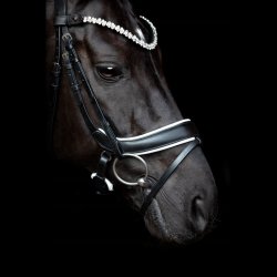 SD Anatomic noseband no.VI. Black/White.