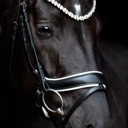 SD Anatomic noseband no.VI. Black/White.