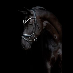 SD Anatomic noseband no.VI. Black/White.