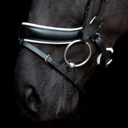 SD Anatomic noseband no.VI. Black/White.
