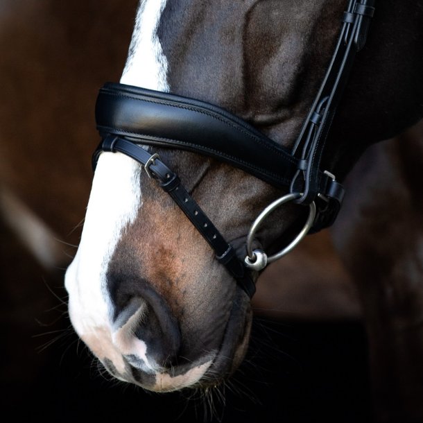 SD Noseband. black/black. 