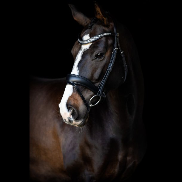 SD Noseband. black/black. 