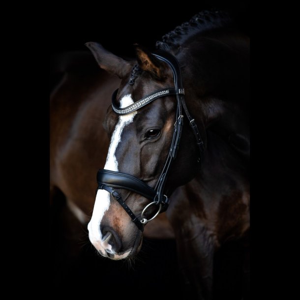 SD Noseband. black/black. 