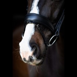 SD Noseband. black/black. 