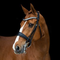 SD ANATOMIC NECKSTRAP FOR DOUBLE BRIDLE
