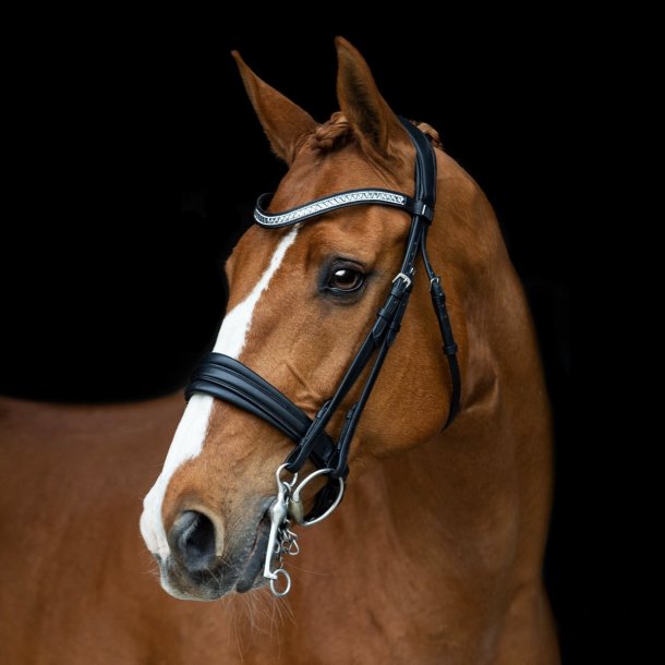 SD ANATOMIC NECKSTRAP FOR DOUBLE BRIDLE