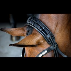 SD Headpiece for Rolled Bridle/rolled double bridle. Brown.