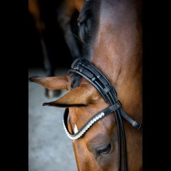 SD Headpiece for Rolled Bridle/rolled double bridle. Brown.