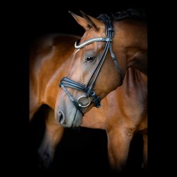 SD Headpiece for Rolled Bridle/rolled double bridle. Brown.