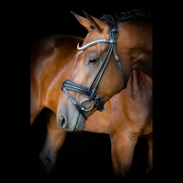 SD Headpiece for Rolled Bridle/rolled double bridle. Brown.