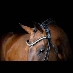 SD Headpiece for Rolled Bridle/rolled double bridle. Brown.