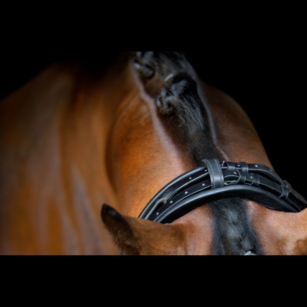 SD Headpiece for Rolled Bridle/rolled double bridle. Brown.