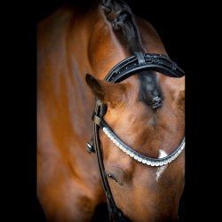 SD Headpiece for Rolled Bridle/rolled double bridle. Brown.
