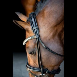 SD Headpiece for Rolled Bridle/rolled double bridle. Brown.