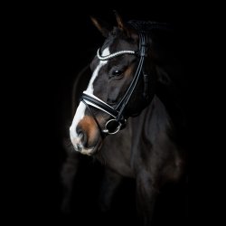 SD Duke de Niro II Rolled Bridle. Black/White. 