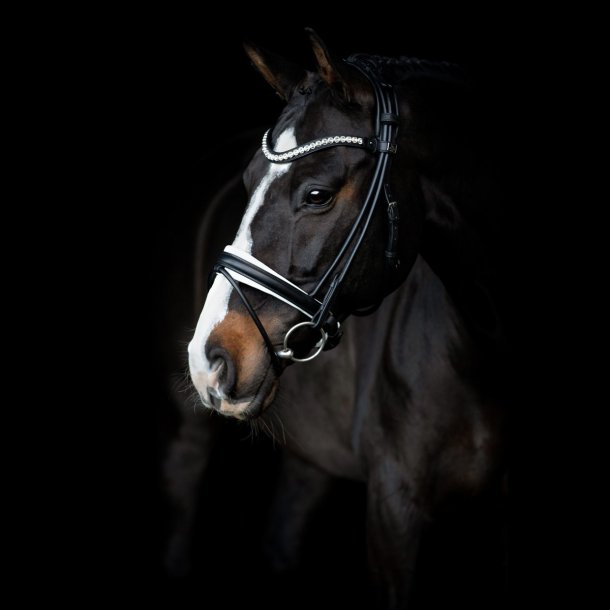 SD Duke de Niro II Rolled Bridle. Black/White. 