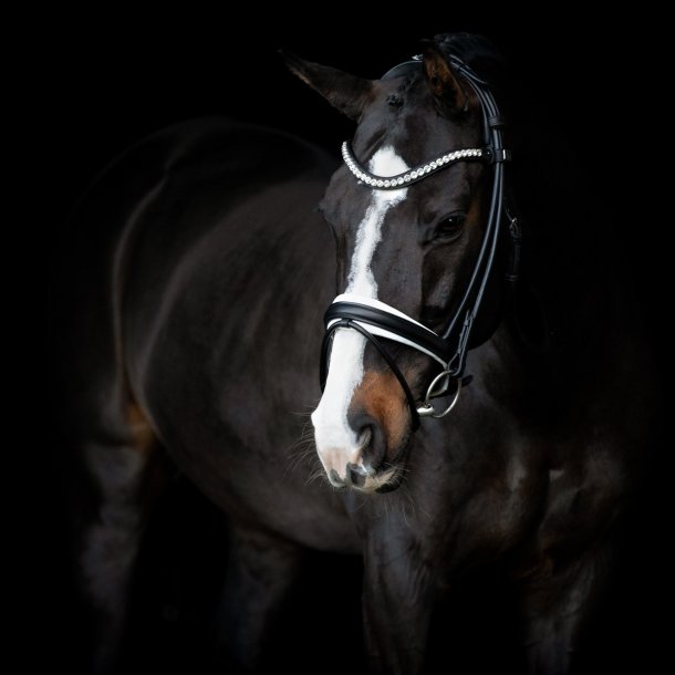 SD Duke de Niro II Rolled Bridle. Black/White. 