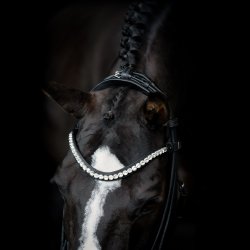 SD Duke de Niro II Rolled Bridle. Black/White. 