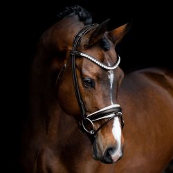 SD Duke de Niro II Rolled Bridle. Black/White. 