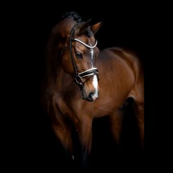 SD Duke de Niro II Rolled Bridle. Black/White. 
