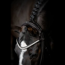 SD Extra wide Headpiece for Rolled double Bridle. Black.
