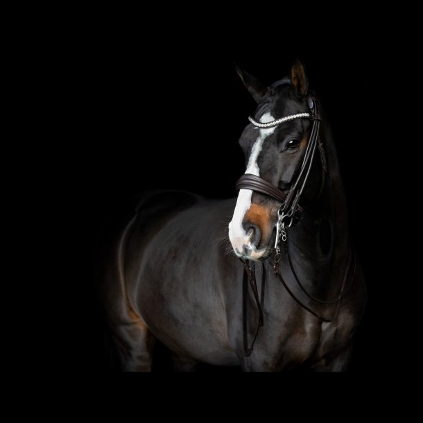SD Belissimo II Rolled double bridle. Brown.
