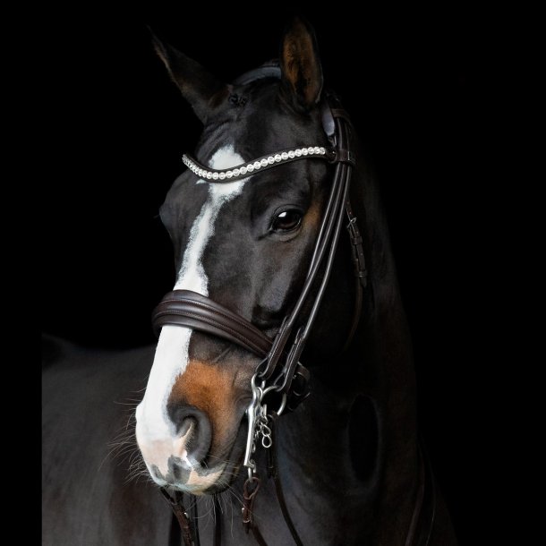 SD Belissimo II Rolled double bridle. Brown.