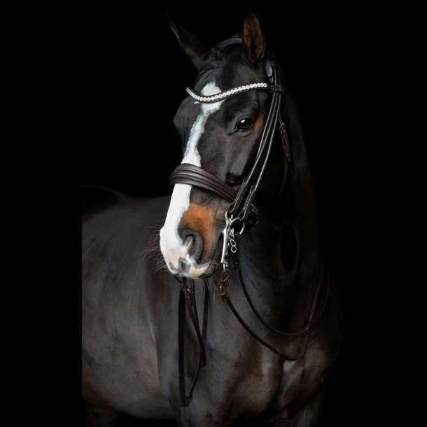 SD Belissimo II Rolled double bridle. Brown.