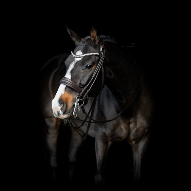 SD Belissimo II Rolled double bridle. Brown.