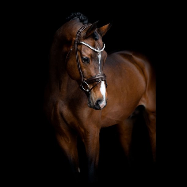 SD Noseband for rolled Bridle. Brown/Brown.