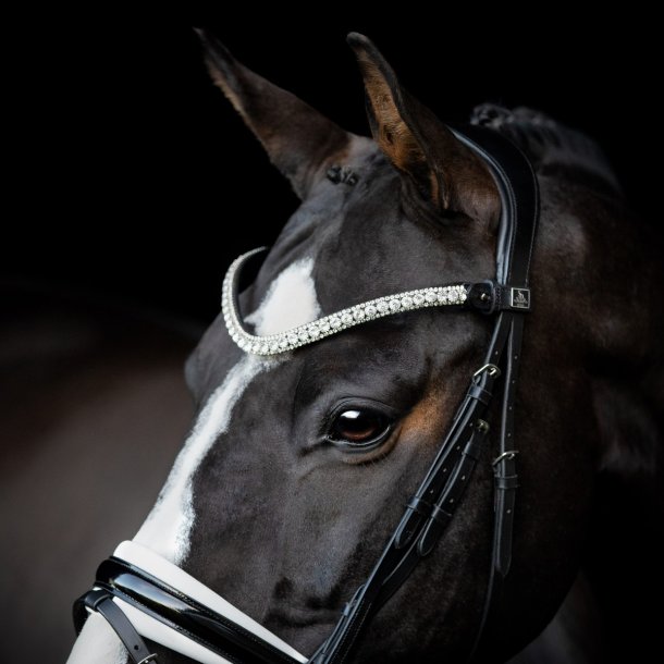 SD Olymbrio Browband. Black. 