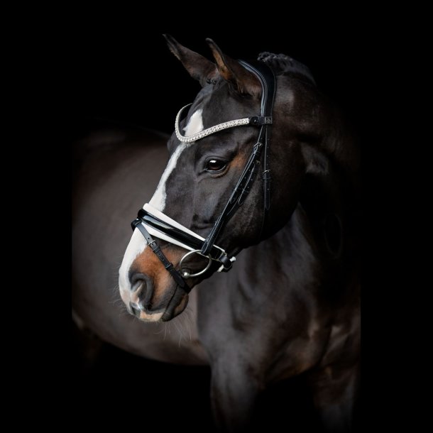 SD Olymbrio Browband. Black. 