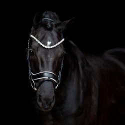 SD Romanov Browband. Black.