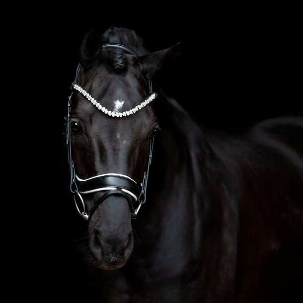 SD Romanov Browband. Black.
