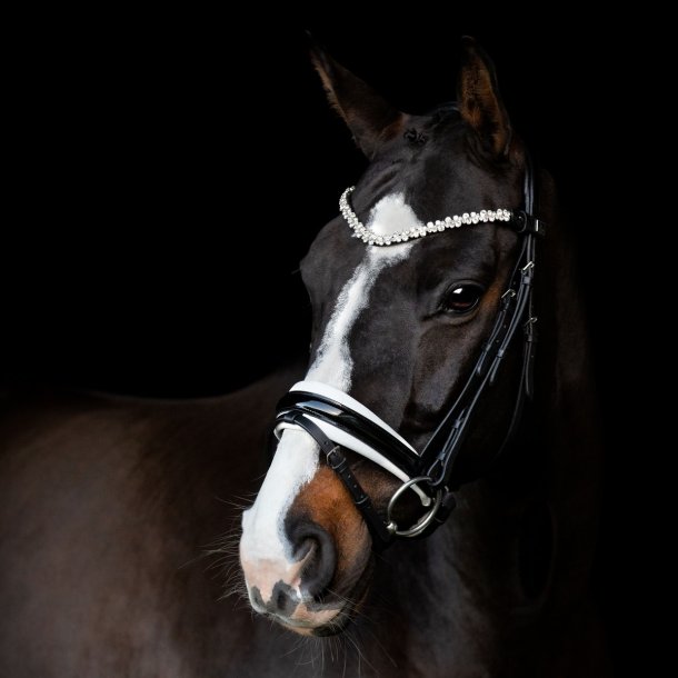 SD Romanov Browband. Black.