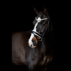 SD Romanov Browband. Black.