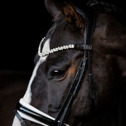SD Romanov Browband. Black.
