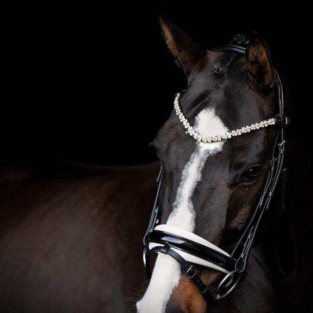SD Romanov Browband. Black.