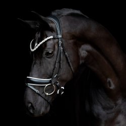SD Romanov Browband. Black.
