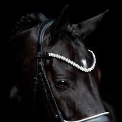 SD Romanov Browband. Black.