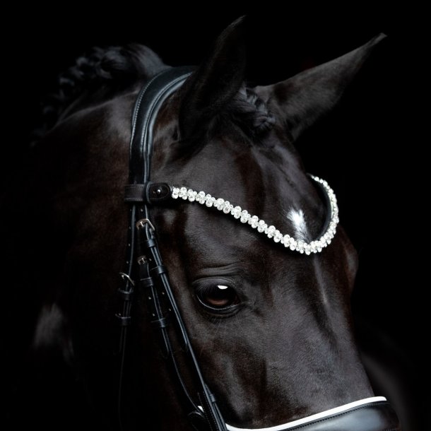 SD Romanov Browband. Black.