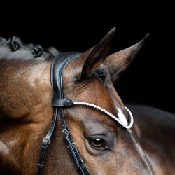 SD Rapsody Browband. Black. 